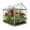 9" Red & Green Cardinal Boxwood Artificial Christmas Greenhouse Arrangement